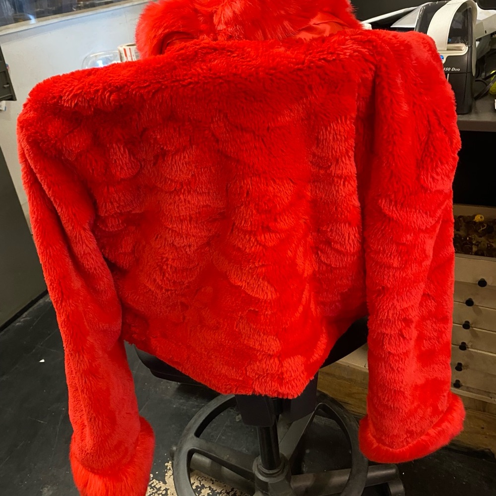 Jacket - Picture 3 of 5